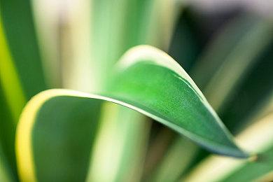 动作Moba复活《虚幻争霸：过载》现已推出抢先体验